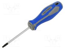 Screwdriver  Torx®  TX15  75mm