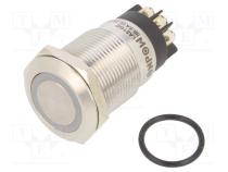 Switch  vandal resistant  Pos  2  SPDT  3A/220VAC  5A/24VDC  IP65