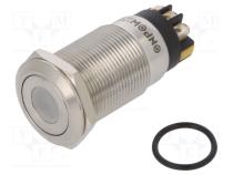 Переключатель  антивандальный  Пол  2  SPDT  3A/220ВAC  5A/24ВDC