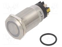 Переключатель  антивандальный  Пол  2  SPDT  3A/220ВAC  5A/24ВDC