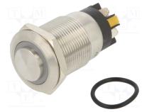 Переключатель  антивандальный  Пол  2  SPDT  3A/220ВAC  5A/24ВDC