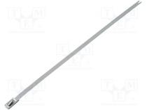 Cable tie  L  201mm  W  4.6mm  acid resistant steel  900N  MBT