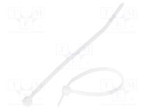 Cable tie  L  99mm  W  2.5mm  polyamide  80N  natural  Ømax  22mm