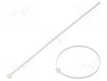 Cable tie  L  206mm  W  3.4mm  polyamide  178N  natural  Ømax  51mm