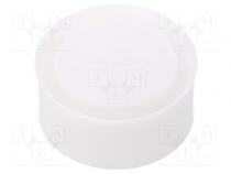 Plunger  for syringes  silicone free  polyetylene