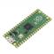 RASPBERRY Raspberry Pi Pico development kit