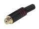 CINCH RP-311G/R-EN connector