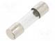 Fuse  fuse  time-lag  5A  250VAC  cylindrical,glass  5x20mm  brass