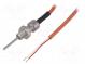 Sensor  temperature  Pt100  cl.B  M10x1  Electr.connect  2m lead