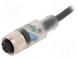 Connection lead  M12  PIN  4  straight  2m  plug  24VAC  4A  -25÷80°C