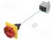Switch-disconnector  Poles  3  DIN,on panel  63A  3LD2  -25÷55°C