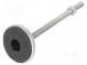 Foot of pin  rigid  Base dia  55mm  M10  stainless steel