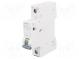 Circuit breaker  230VAC  Inom  6A  Poles  1  DIN  Charact  B  6kA