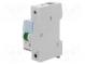 LED indicator  230VAC  DIN  Colour  green