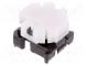 Switch  keypad  Pos  2  SPST-NO  0.1A/28VDC  white  none  THT  0.7N