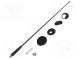 Antenna  car top  0.41m  AM,FM  Alfa Romeo,Fiat,Lancia