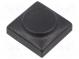 Button  rectangular  black  polyamide  18.3x18.3mm