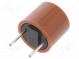 Fuse  fuse  time-lag  6.3A  250VAC  THT  TR5  copper  887.100  5.08mm