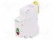 LED indicator  12÷48VAC  12÷48VDC  DIN  Colour  green/red
