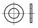 Washer  spring  M12  D=28mm  spring steel  BN  801