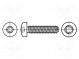 Screw  for metal  2.5x10  Head  cheese head  Torx®  TX08  steel