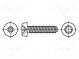 Screw  for metal  2.5x12  Head  cheese head  Pozidriv  PZ1  zinc