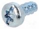 Screw  for plastic  2.5x8  Head  cheese head  slotted,Torx®  zinc
