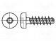 Винт  для термопластов  3x14  Головка  цилиндрическая  Torx® PLUS