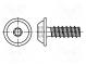 Screw  for plastic  3x20  Head  button  Torx® PLUS  10IP  BN  20165