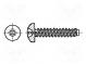 Screw  for metal  4.2x13  Head  cheese head  Pozidriv  PZ2  steel