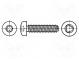 Screw  5x10  Head  cheese head  Torx®  TX25  A2 stainless steel