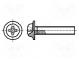 Screw  with flange  M5x8  Head  button  Phillips  PH2