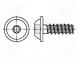 Screw  for plastic  6x30  Head  button  Torx® PLUS  30IP  steel