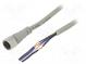 Connection lead  M12  PIN  4  straight  2m  plug  Wire colour  black