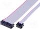 Ribbon cable with IDC connectors  20x28AWG  Cable ph 1.27mm