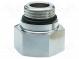 Plug with connection  Ext.thread  G 1 1/2