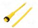 Connection lead  7/8”  PIN  3  straight  3m  plug  9.1A  -15÷90°C