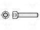Screw  M10x20  DIN  912  Head  cheese head  imbus  HEX 8mm