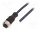 Connection lead  M12  PIN  4  straight  10m  plug  250VAC  4A  IP69K