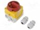 Switch  cam switch  Stabl.pos  2  20A  I-0  in housing  Poles  3