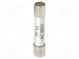 Fuse  PKT-P3260  1A  500V  6.3x32mm  10pcs.