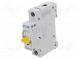 Circuit breaker  230/400VAC  250VDC  Inom  25A  Poles  1  DIN  10kA