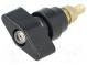 Laboratory clamp  black  1kVDC  100A  Mounting  screw,on panel