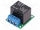 Module  relay  Channels  1  12VDC  max250VAC  10A  pin strips,screw