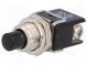 Switch  push-button  Pos  2  4A/250VAC  OFF-(ON)  Illumin  none