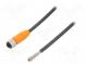 Connection lead  M12  PIN  4  straight  10m  plug  240VAC  4A  IP67