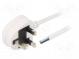 Cable  BS 1363 (G) plug,wires  PVC  3m  white  3G1mm2  13A
