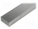 Heatsink  extruded  grilled  natural  L 1000mm  W 45mm  H 22mm