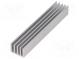 Heatsink  extruded  grilled  natural  L 100mm  W 19mm  H 14mm