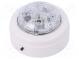 Signaller  lighting  flashing light  white  Solista Maxi  9÷60VDC